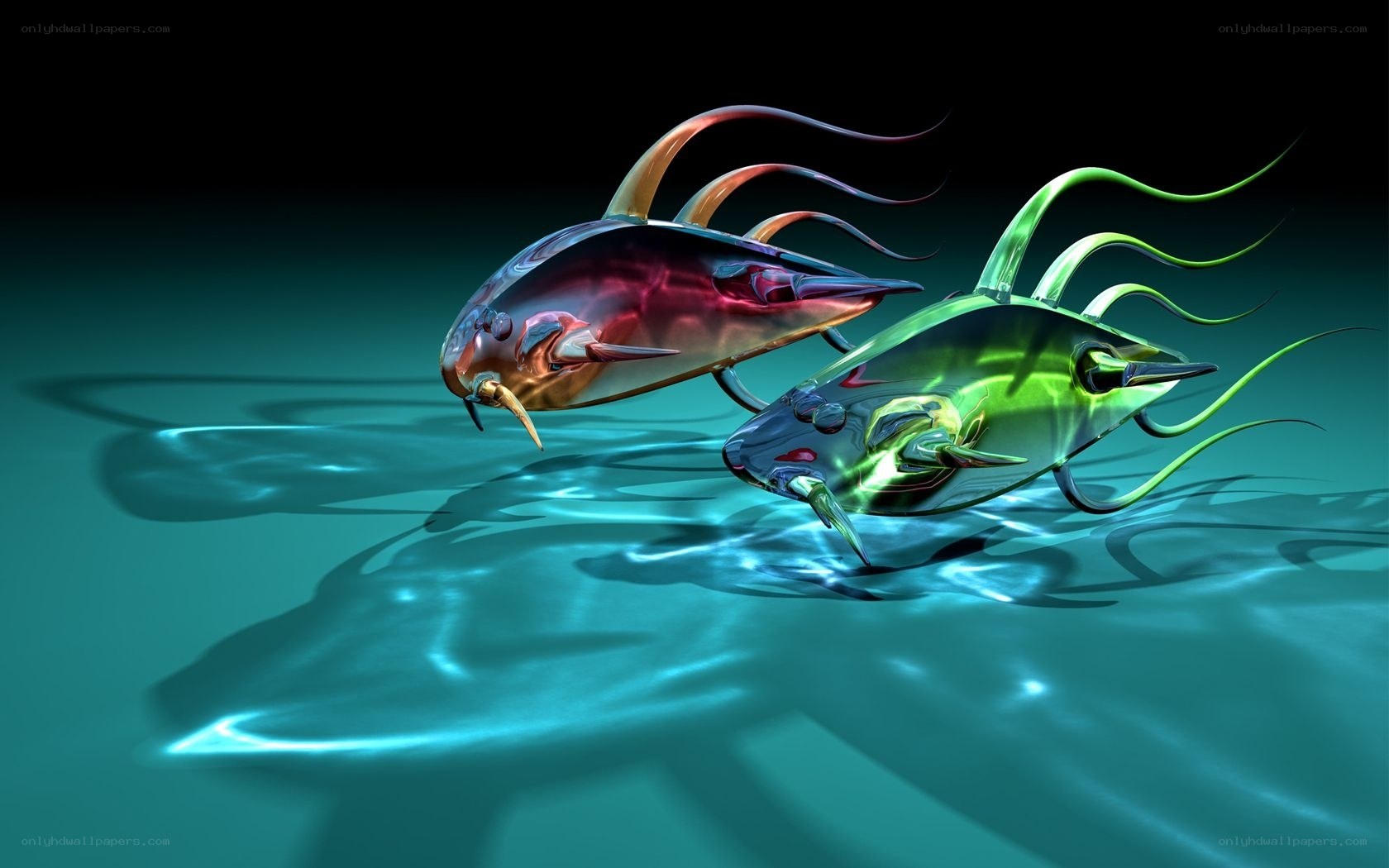 Colorful fish in water