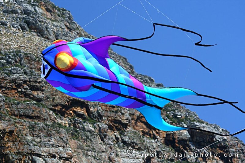 Colorful fish kite in flight