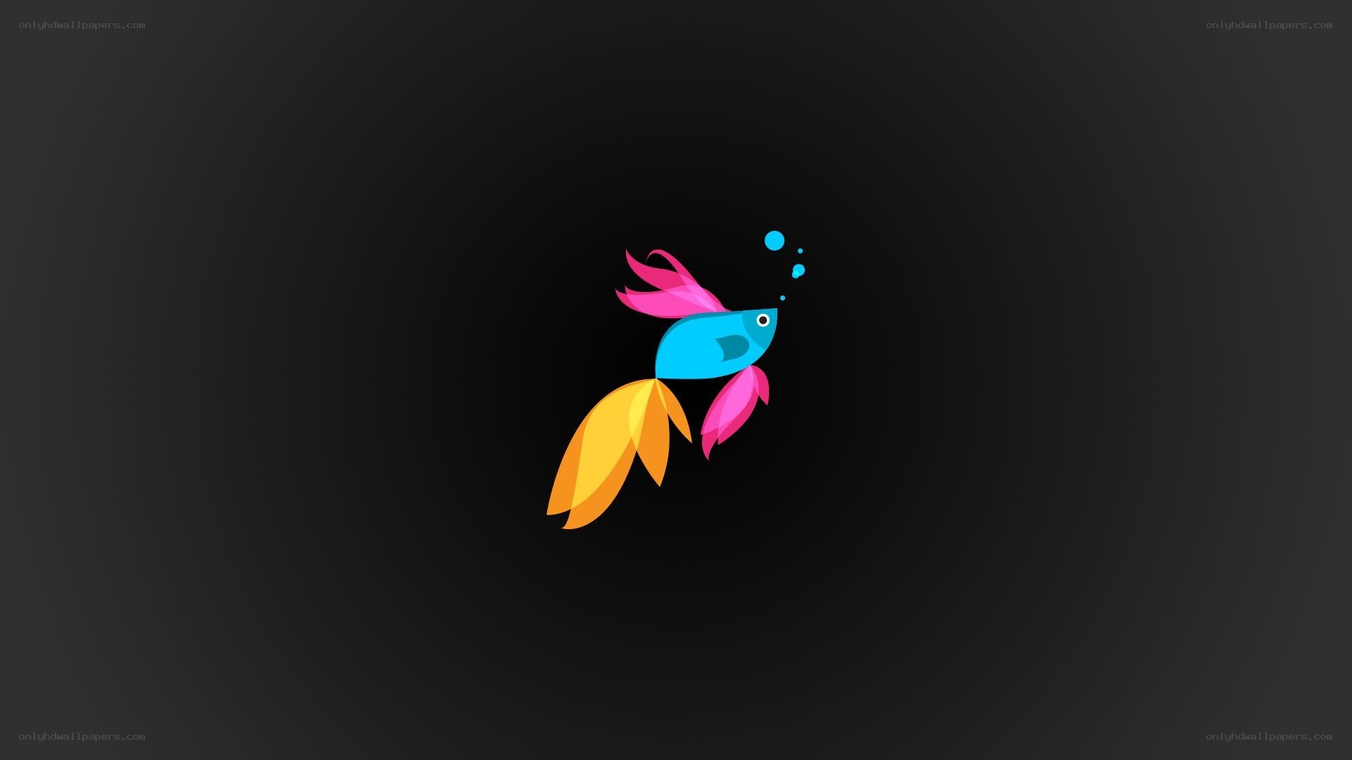 colorful fish logo on dark background