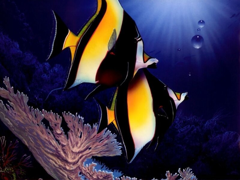 Colorful fish near coral reef