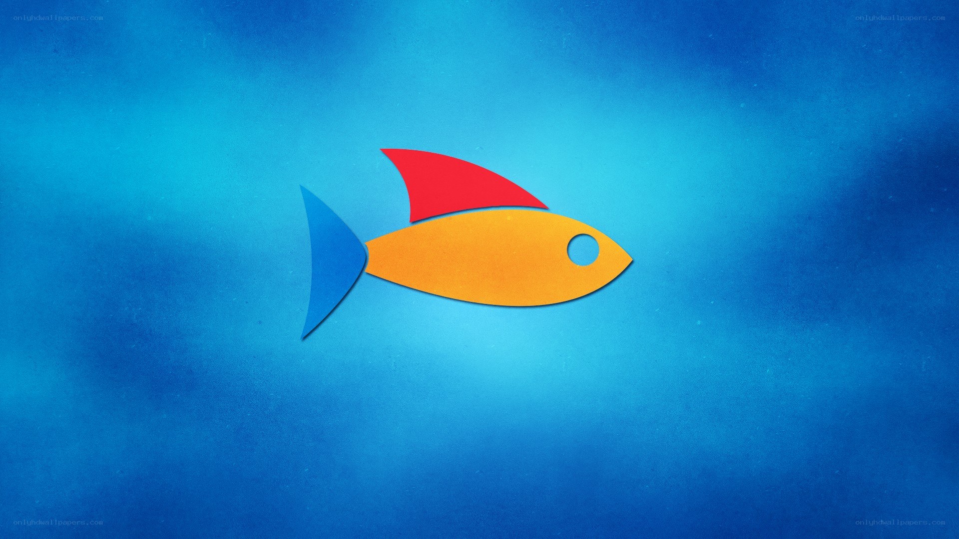 colorful fish on blue background