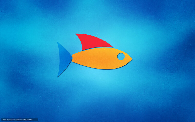 Colorful fish on blue background