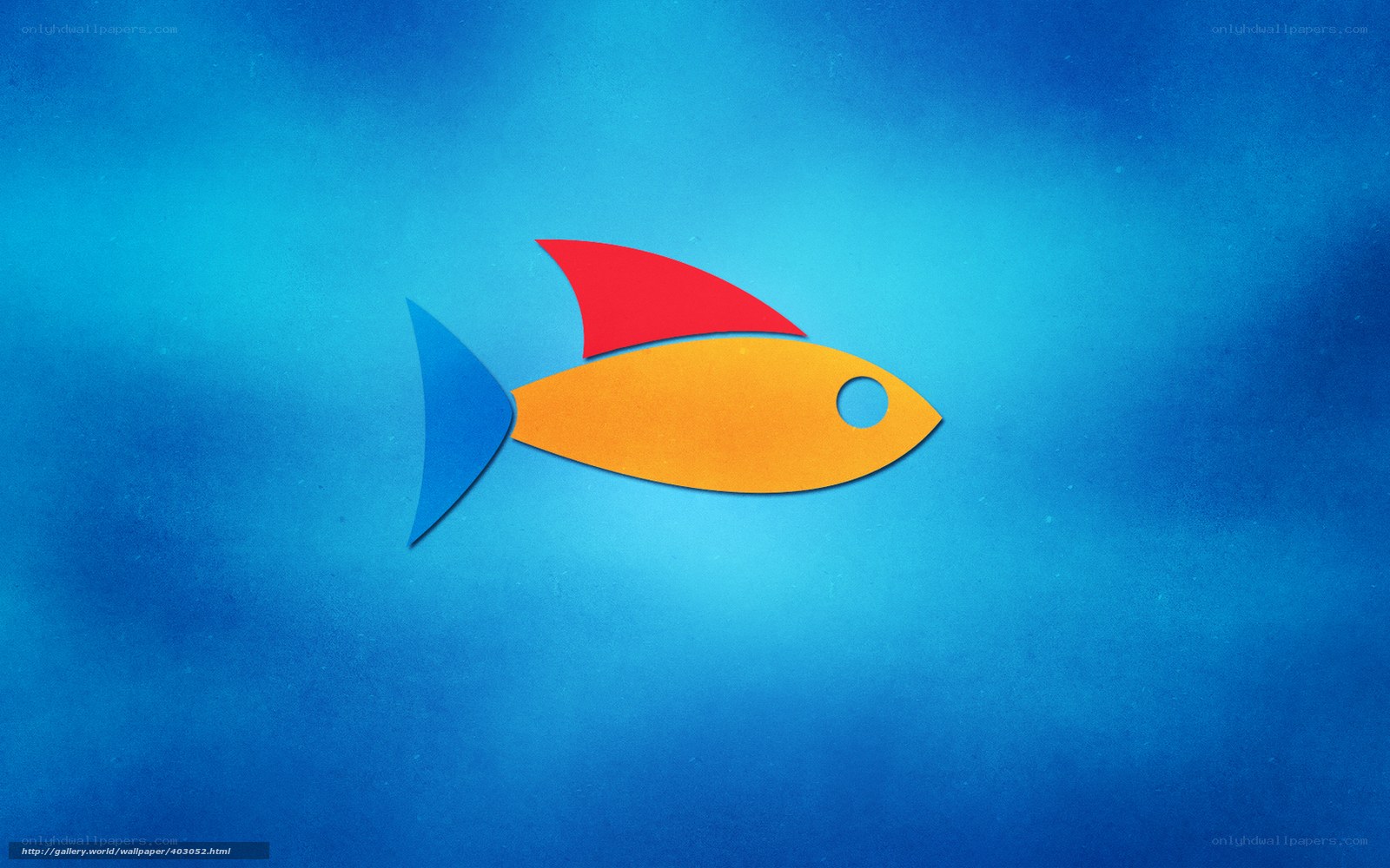 Colorful fish on blue background