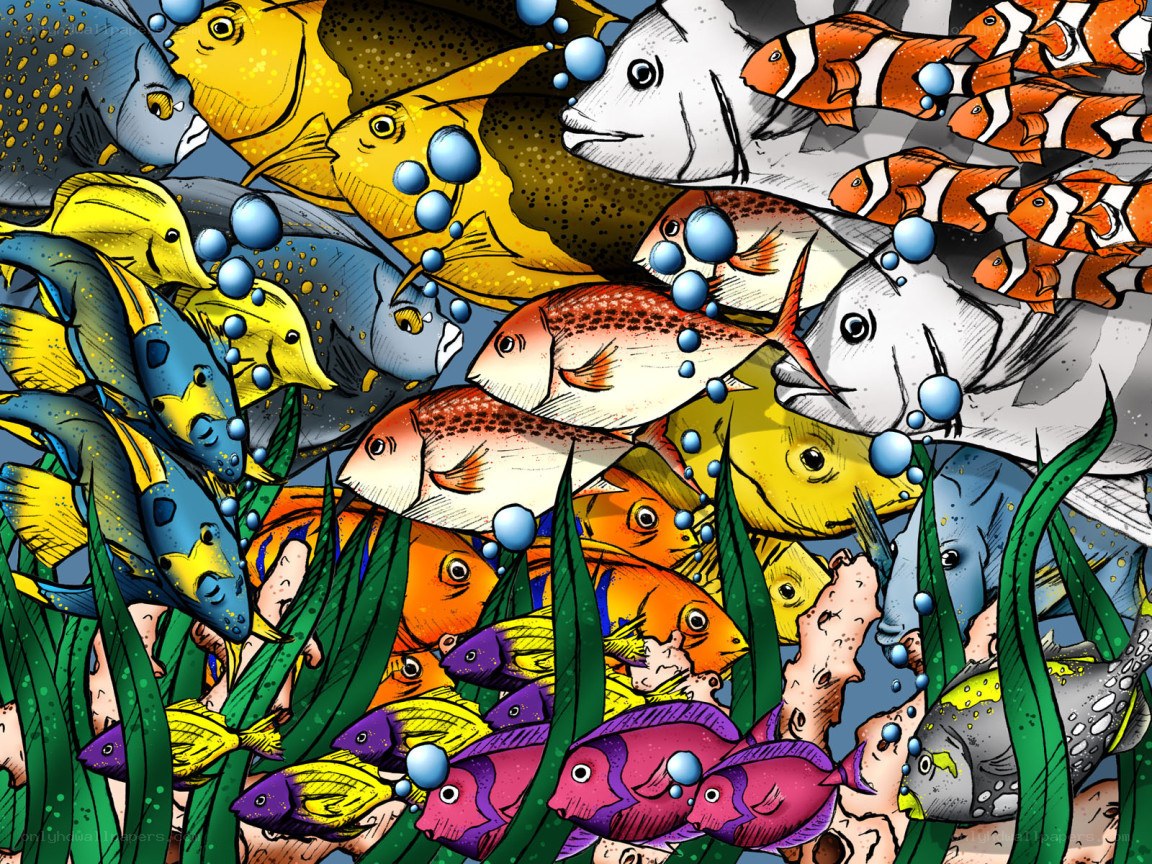 Colorful fish school underwater