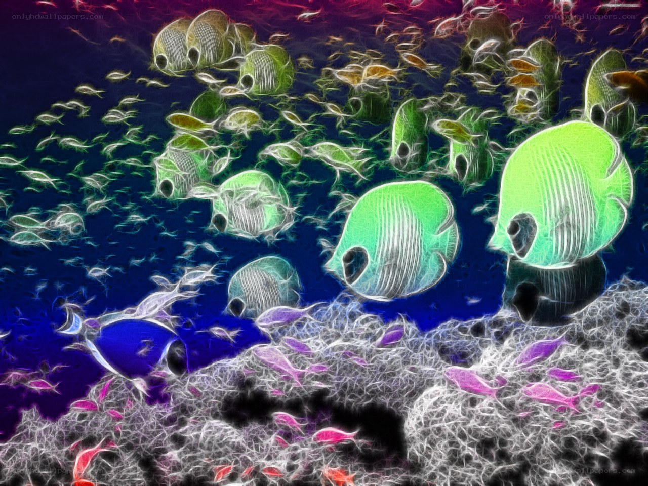 Colorful fish school underwater