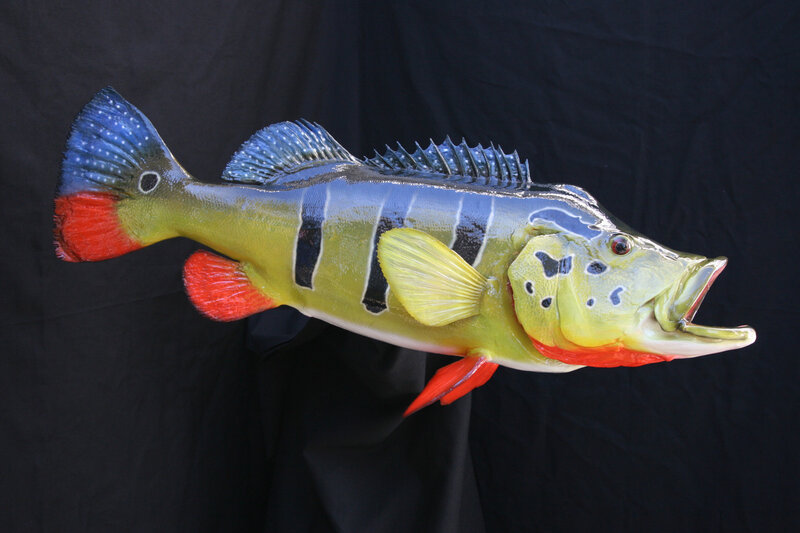 Colorful Fish Sculpture
