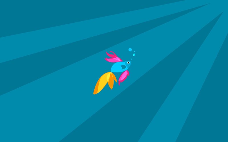 colorful fish swimming underwater
