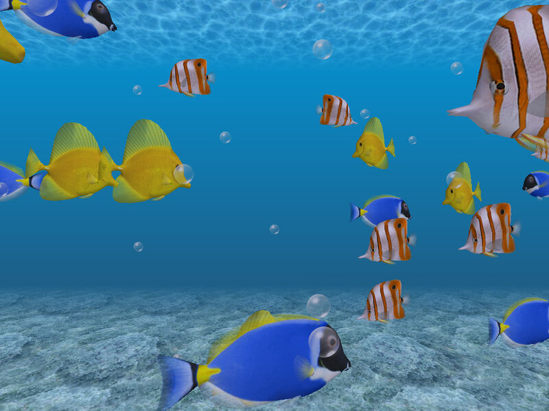 Colorful fish swimming underwater