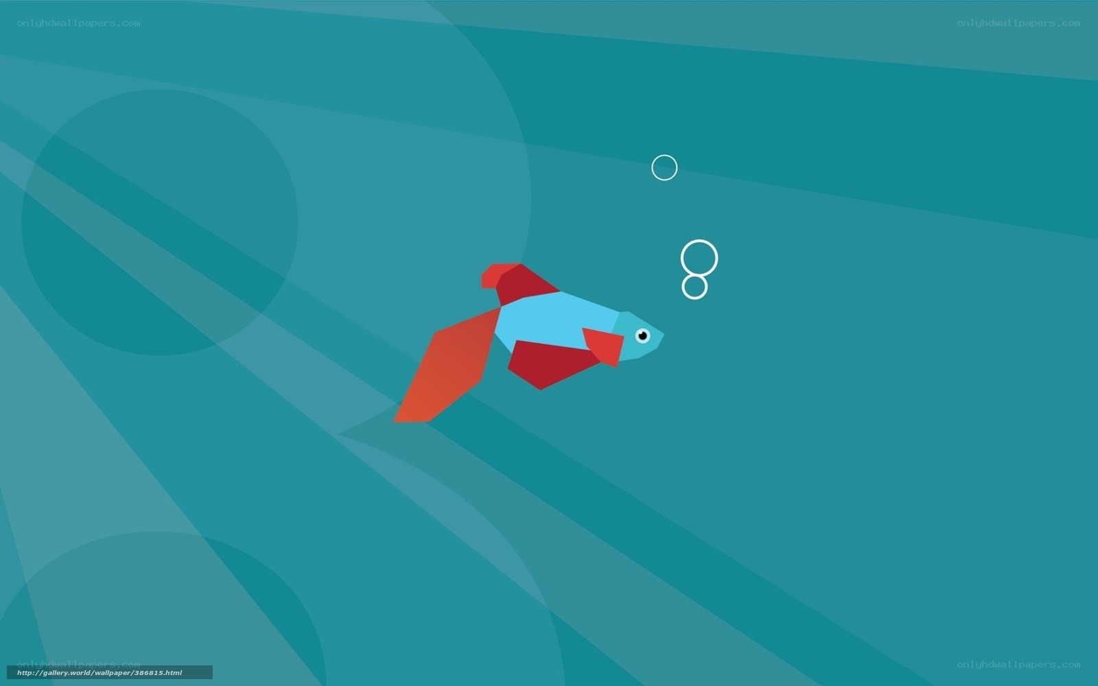 Colorful fish underwater