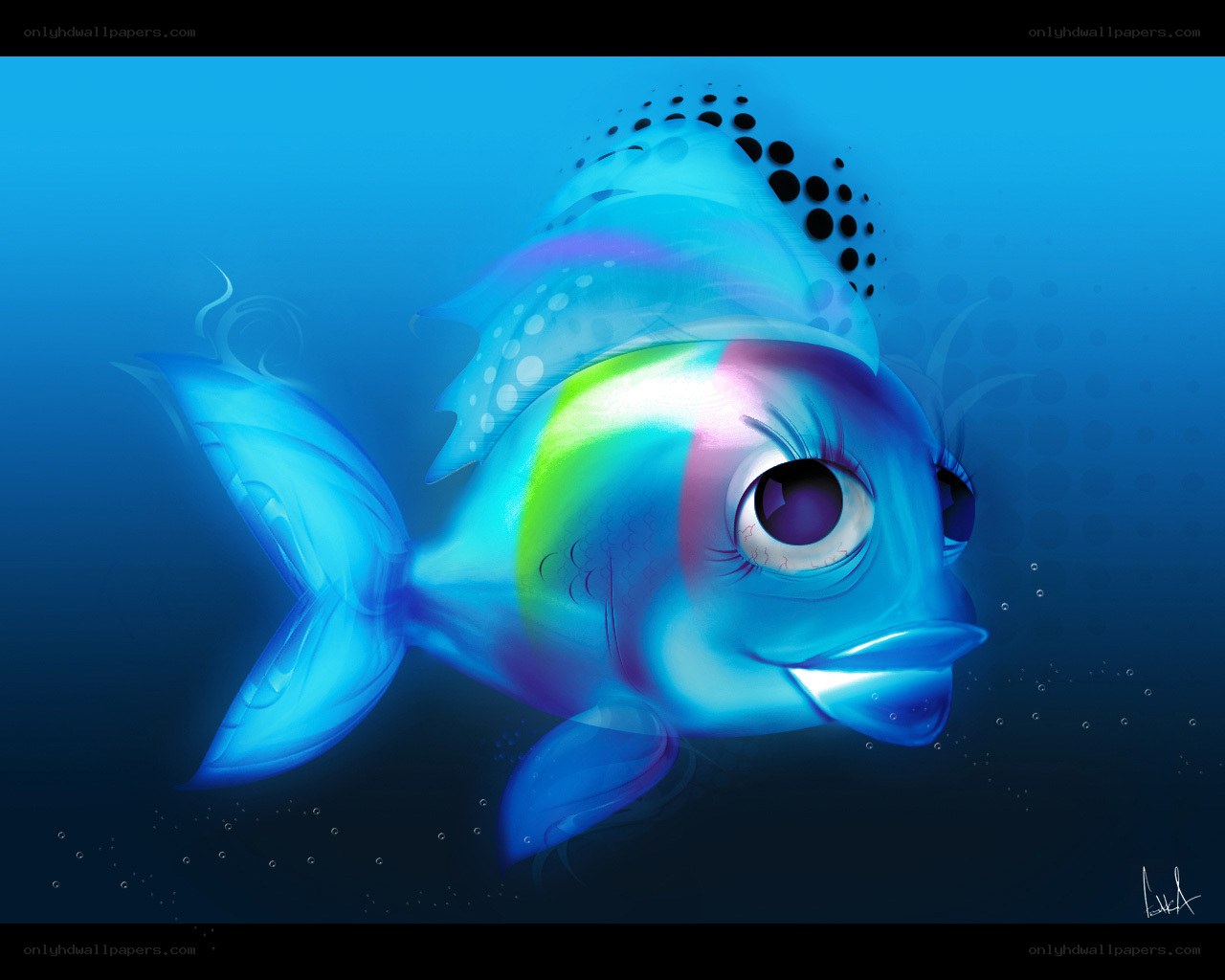 colorful fish underwater