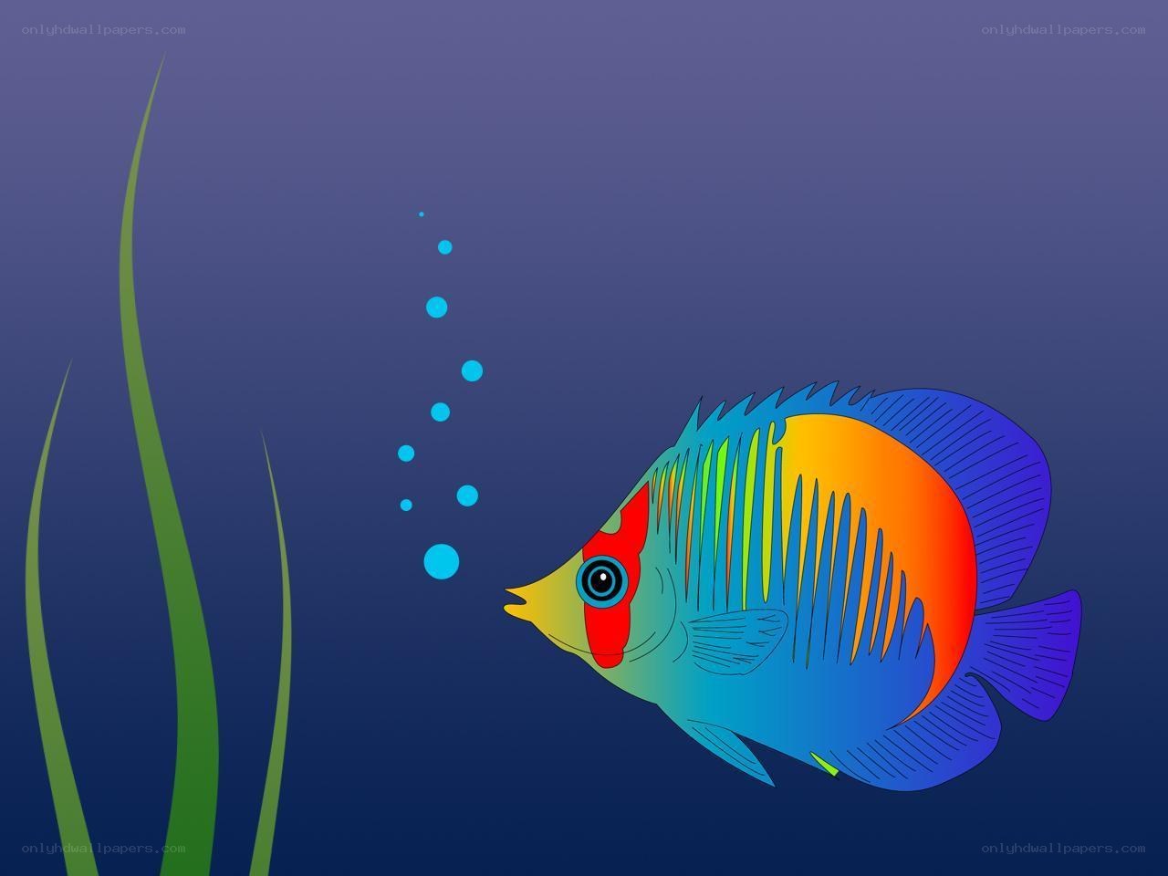 colorful fish underwater