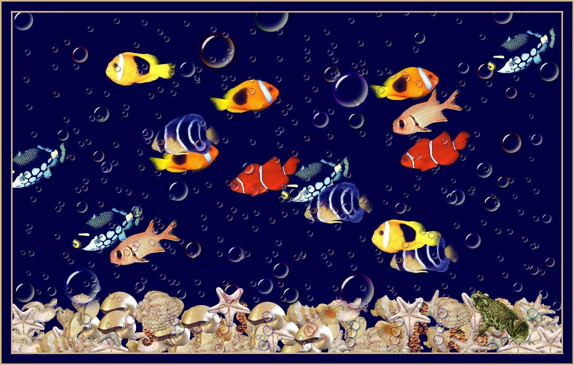 Colorful fish underwater scene