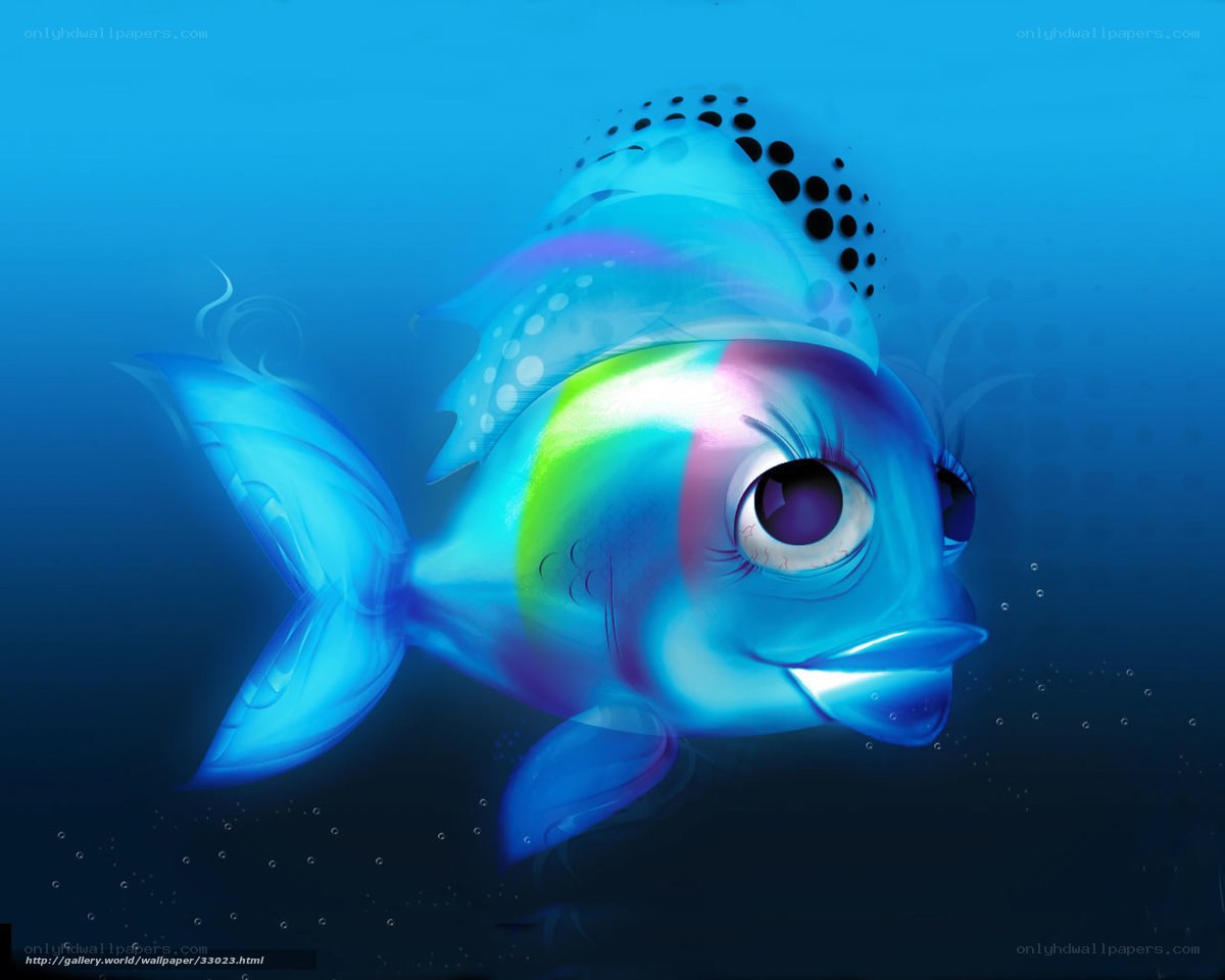 colorful fish underwater