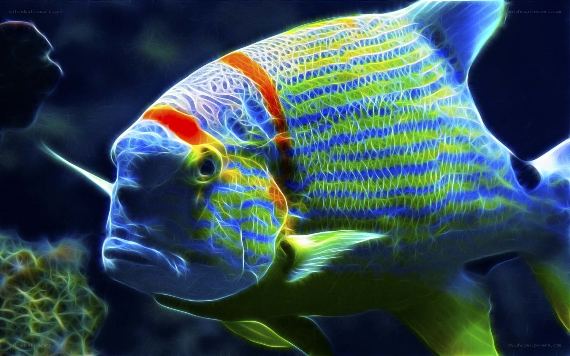 colorful fish with glowing stripes