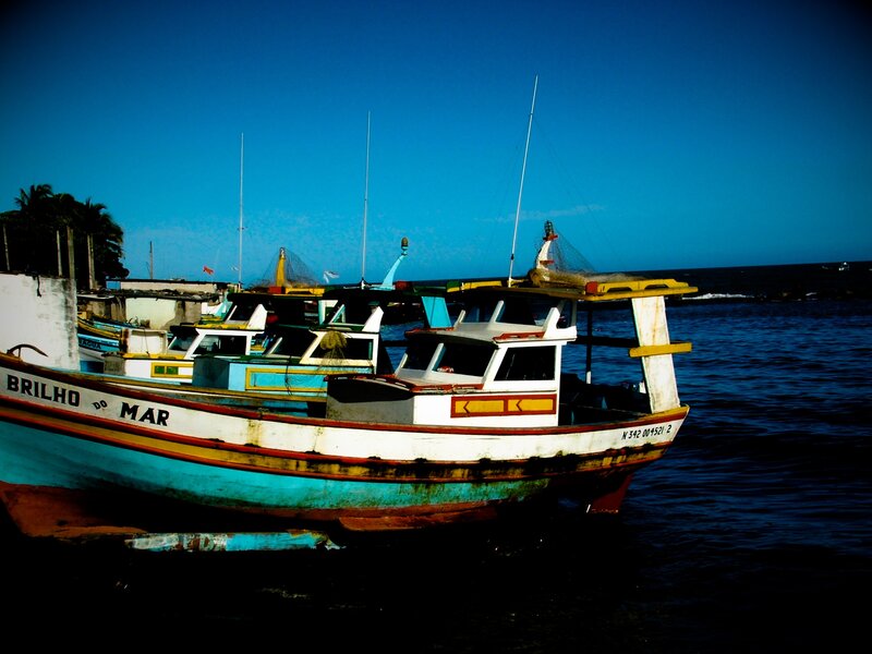 Colorful fishing boats at the harbor