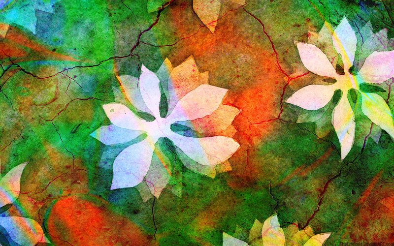 colorful floral abstract art