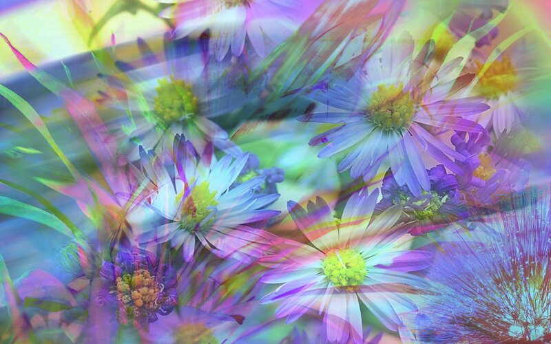 colorful floral abstract art