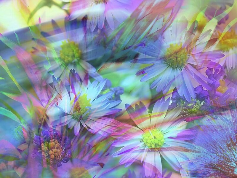 Colorful floral abstract art