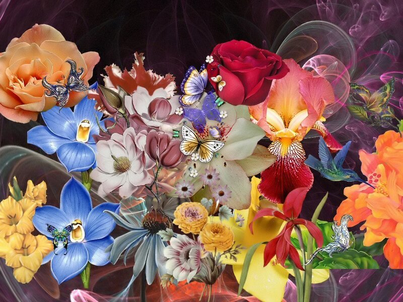 Colorful floral and butterfly collage