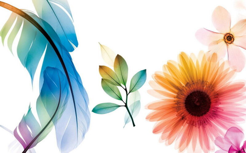 Colorful floral and feather design