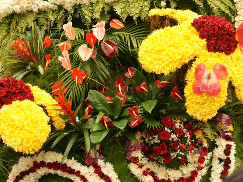 Colorful floral arrangement