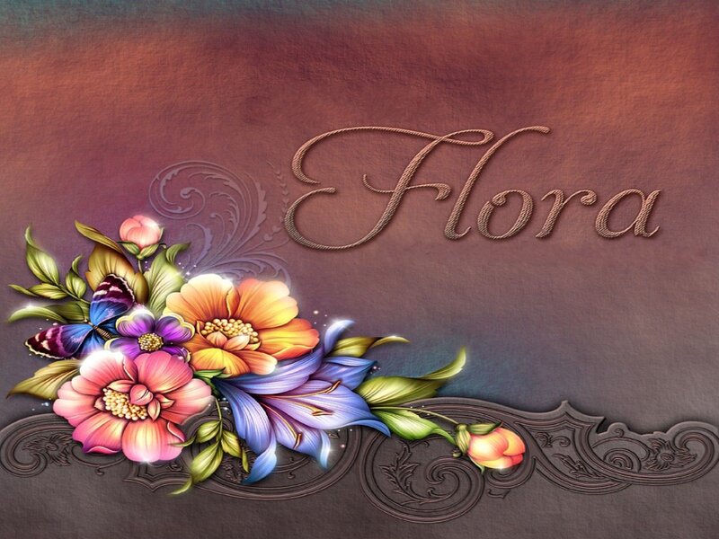 Colorful Floral Arrangement — Brown