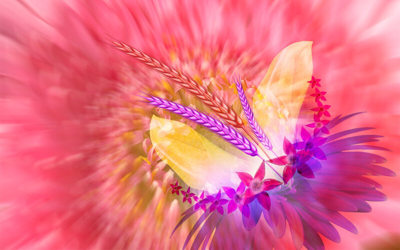 Colorful Floral Arrangement — Pink, Vibrant, Digital Art, Wheat