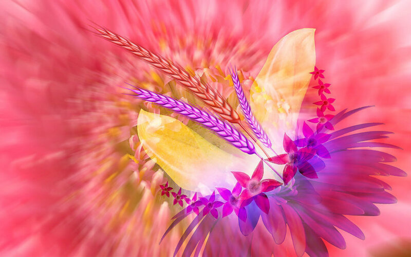Colorful Floral Arrangement — Pink, Vibrant