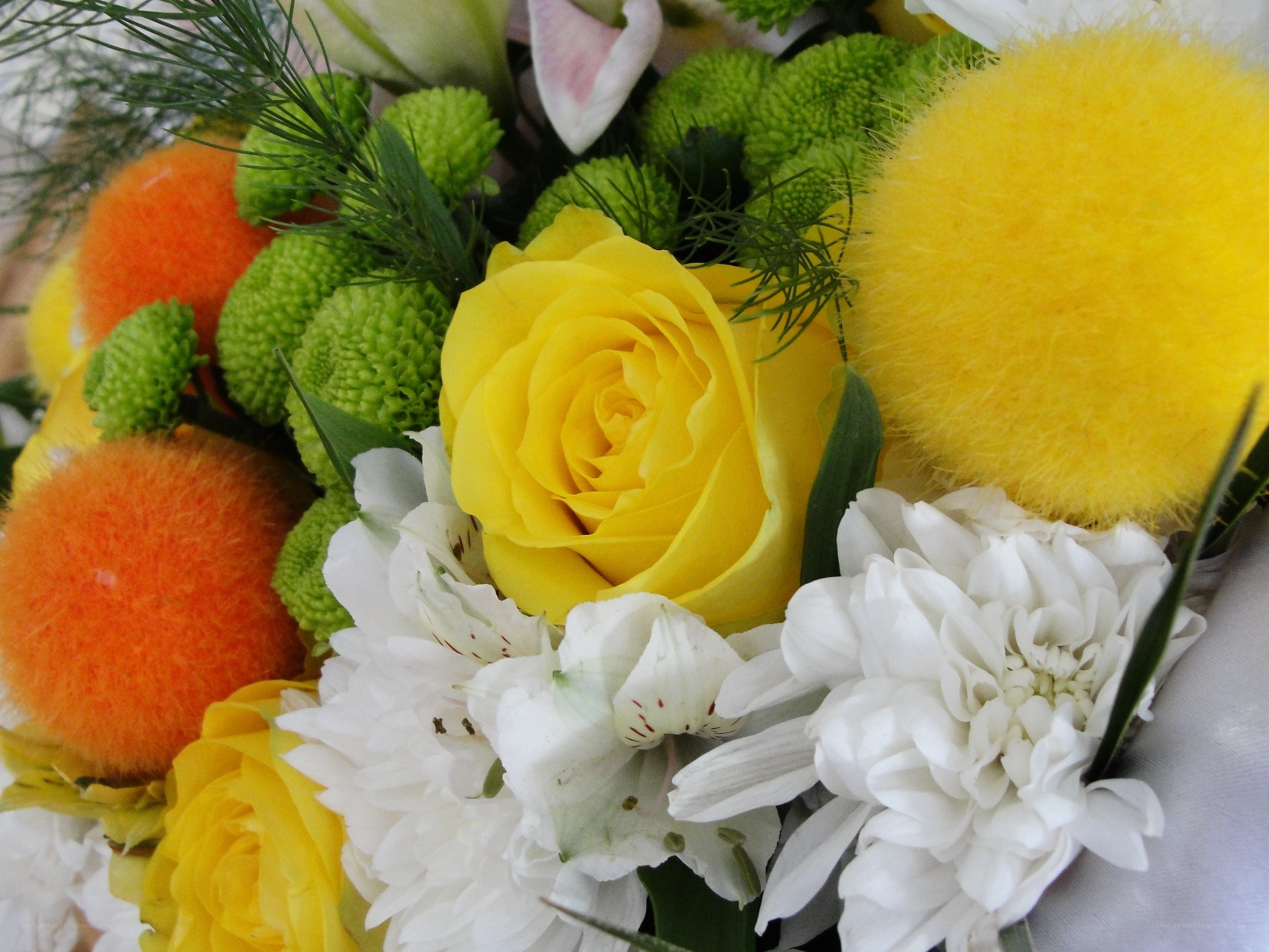Colorful floral arrangement