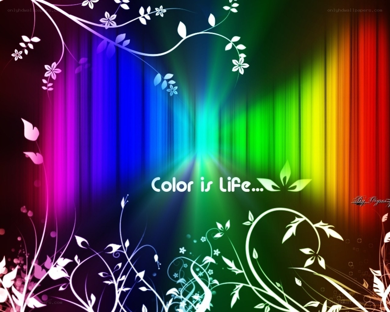 Colorful floral background