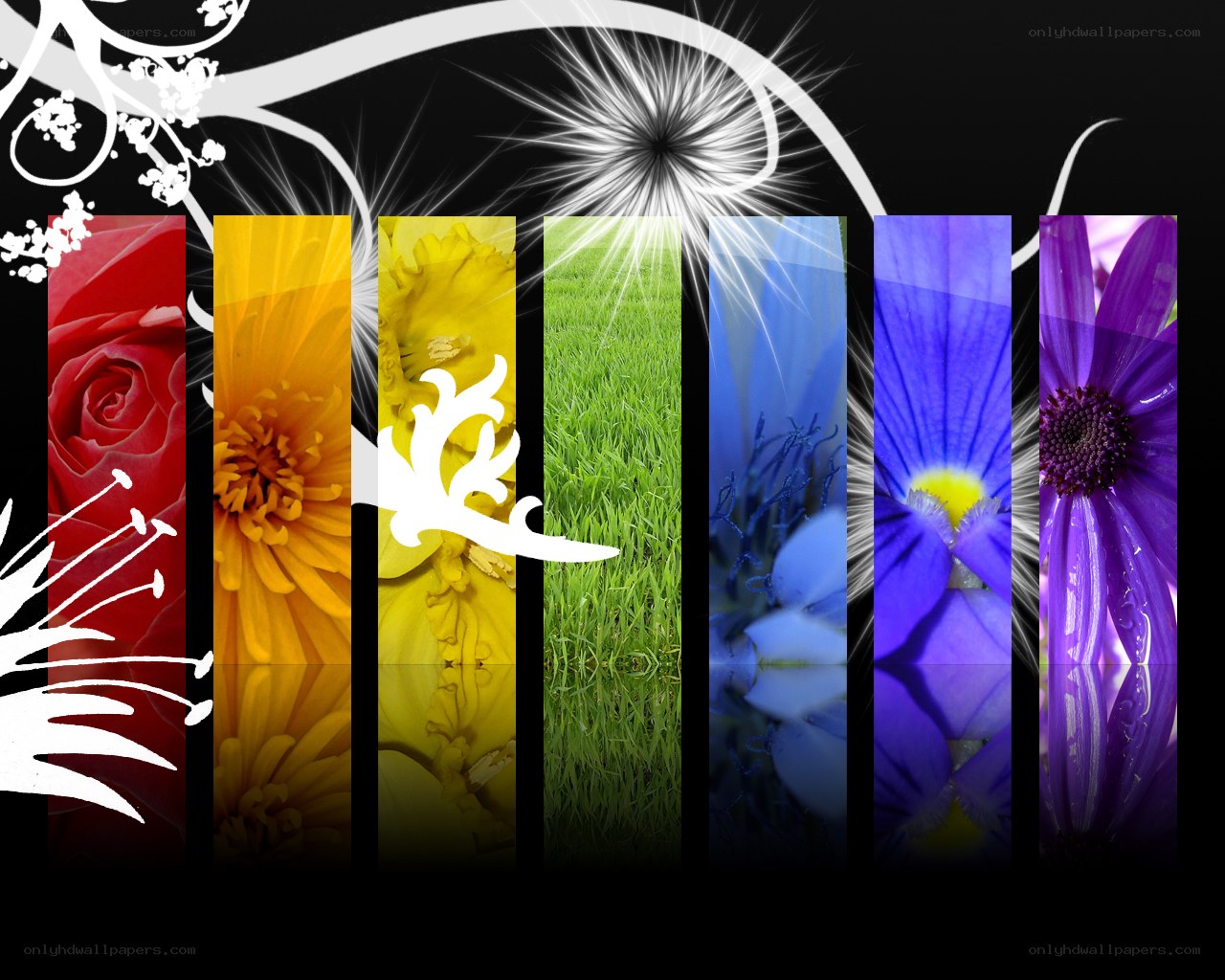 colorful floral collage