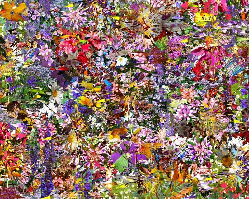 colorful floral collage