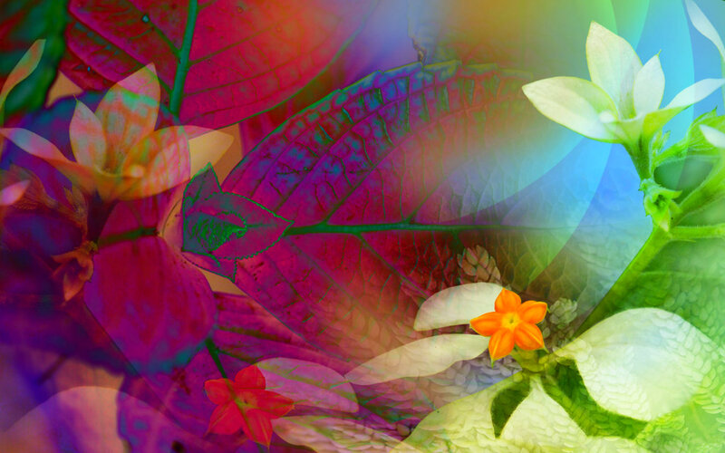 Colorful Floral Collage — Purple