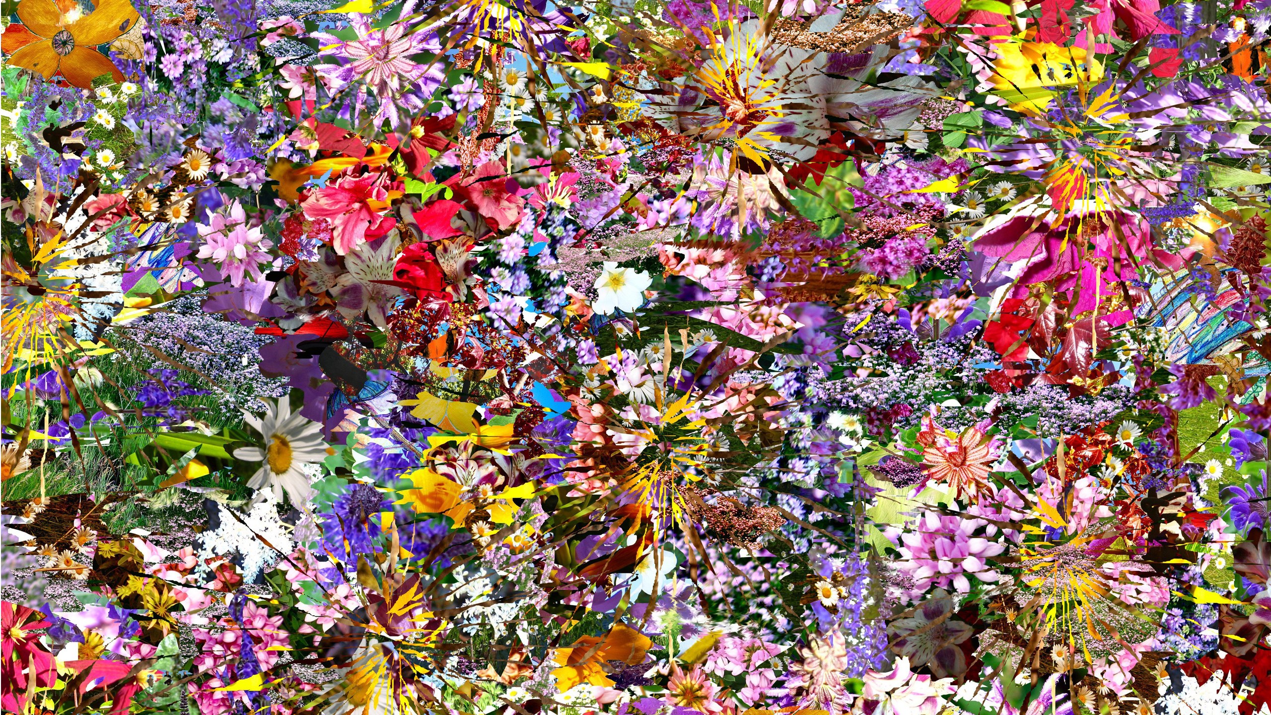 Colorful floral collage