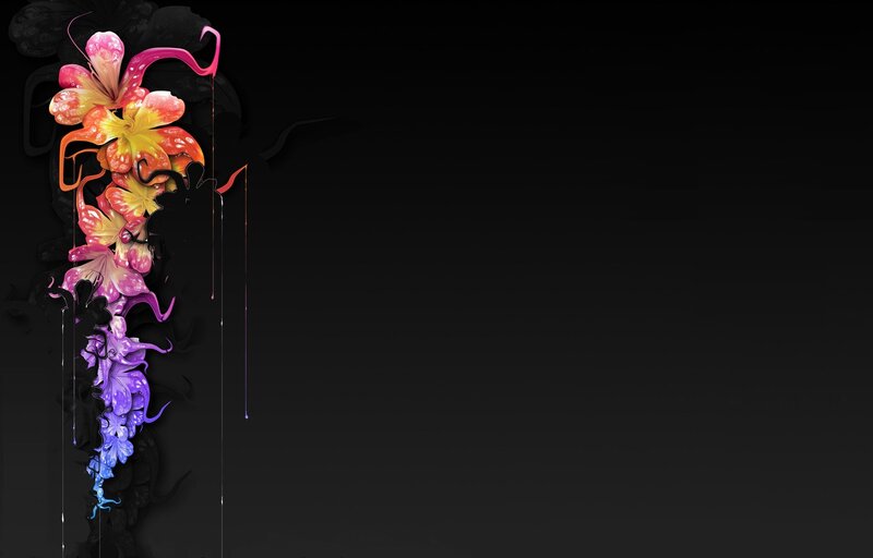Colorful Floral Design — Black