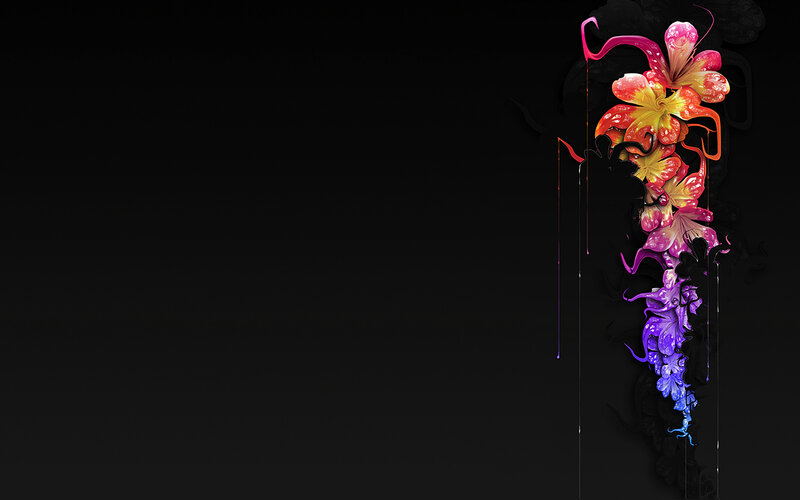 colorful floral design on black
