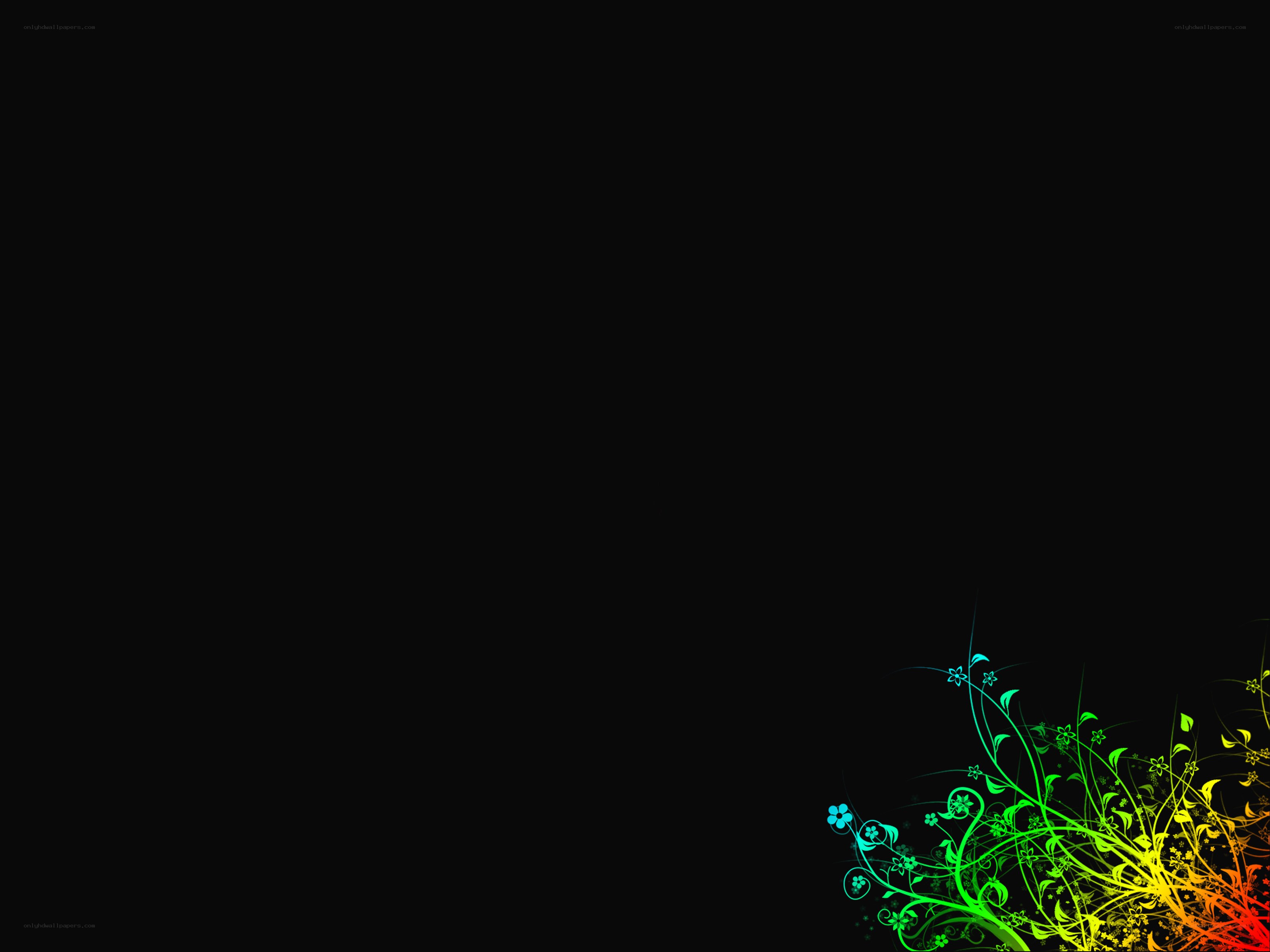 colorful floral design on black