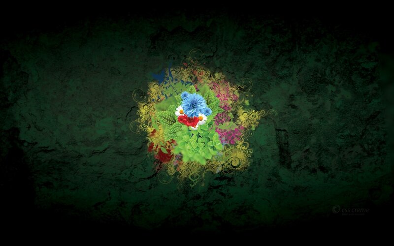 colorful floral design on dark green