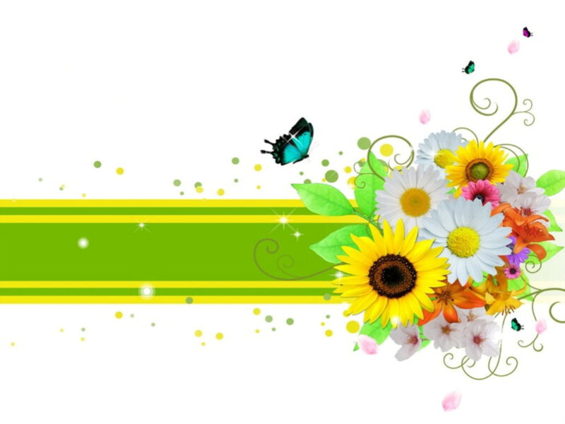 colorful floral design with butterflies