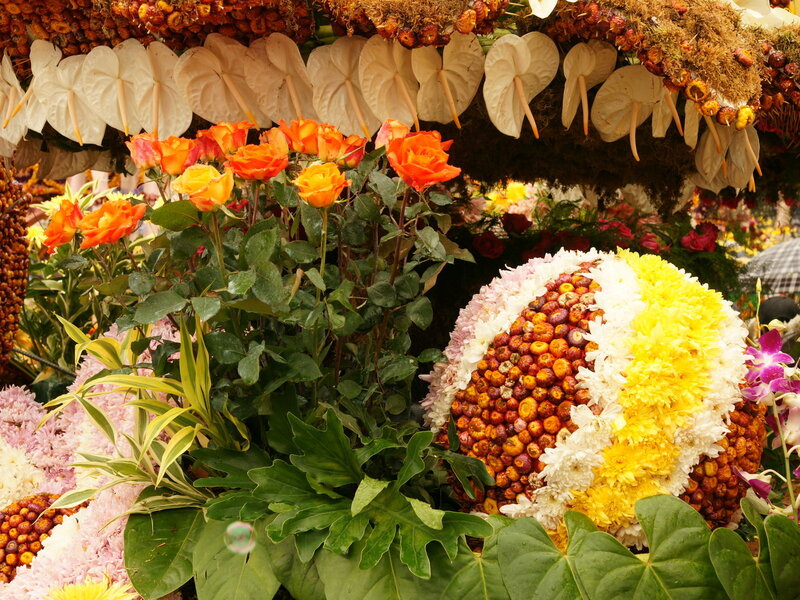 Colorful floral display