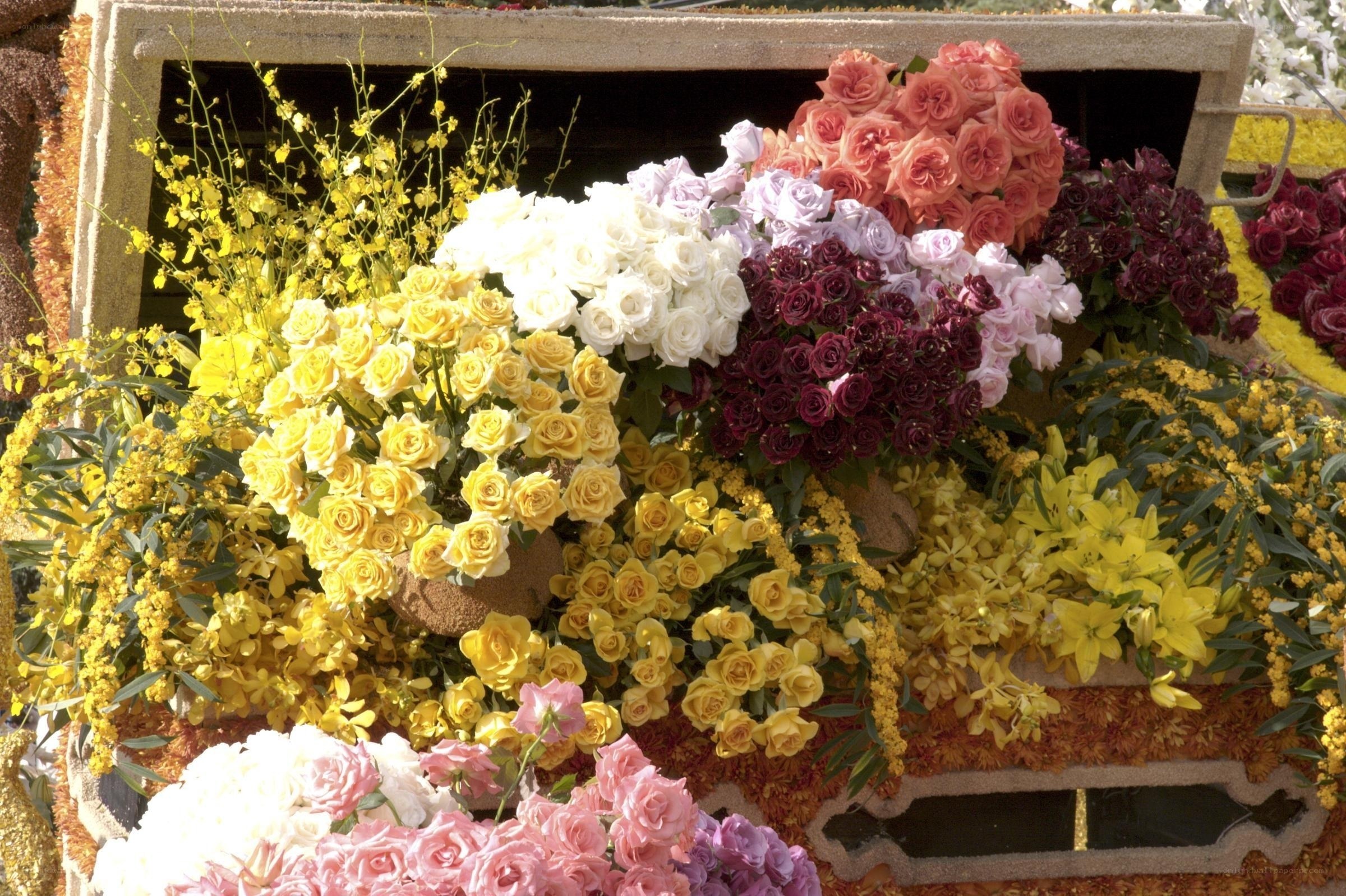 Colorful floral display