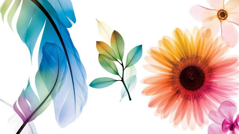 Colorful Floral Illustration — Blue