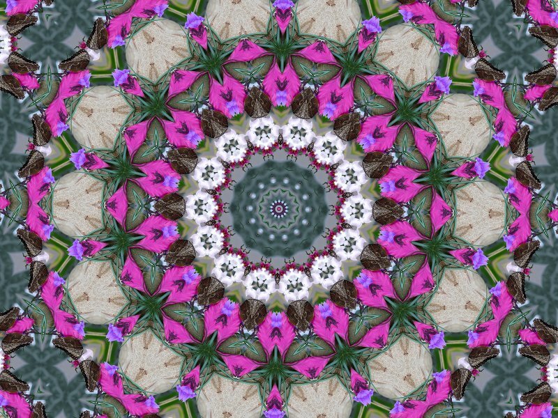 colorful floral mandala pattern