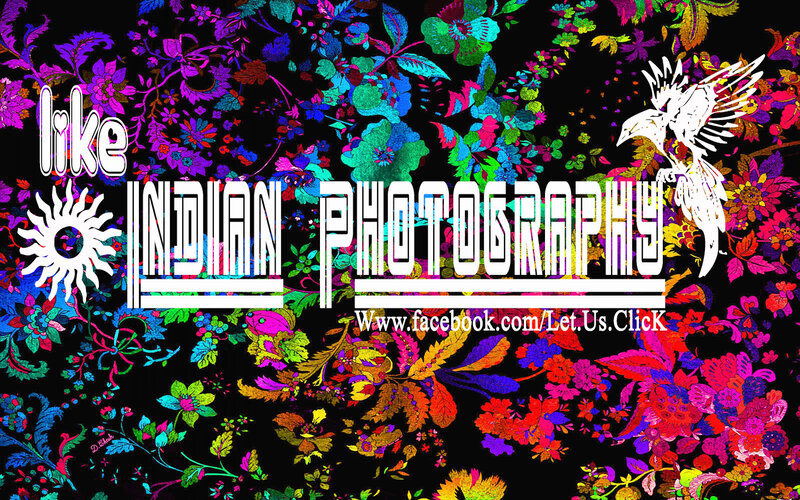 Colorful Floral Pattern — Black, Vibrant, Digital Art, Sun Symbol