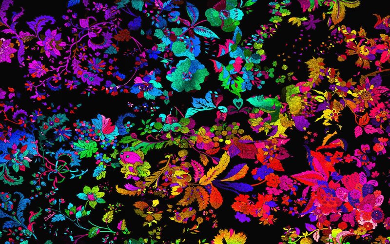 Colorful Floral Pattern — Black, Vibrant, Digital Art
