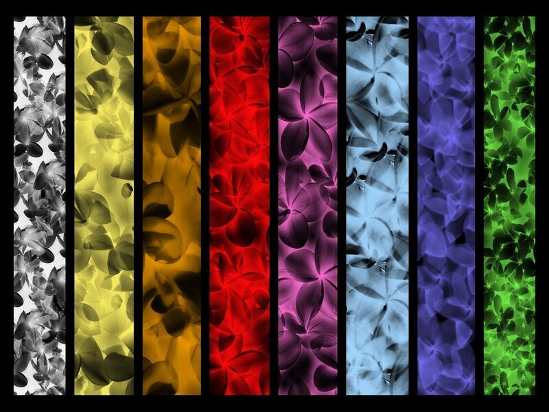 Colorful floral pattern stripes