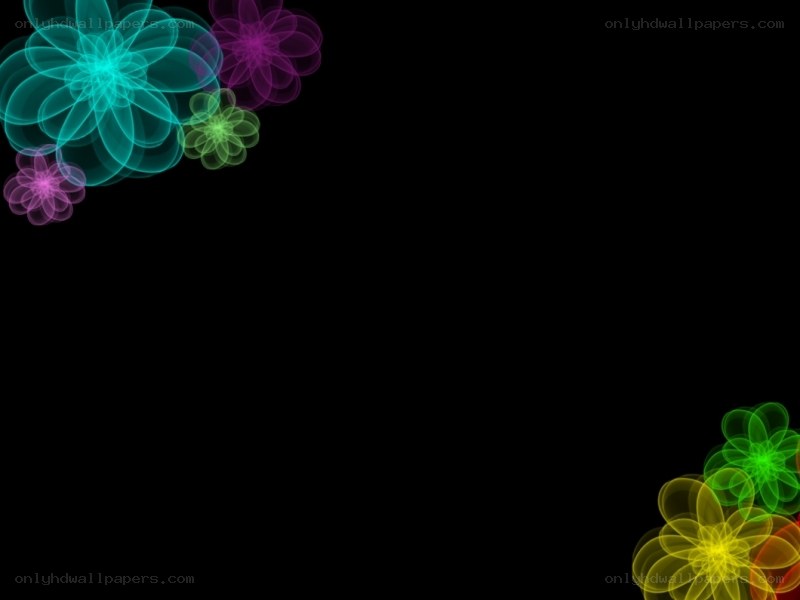 colorful floral patterns on black