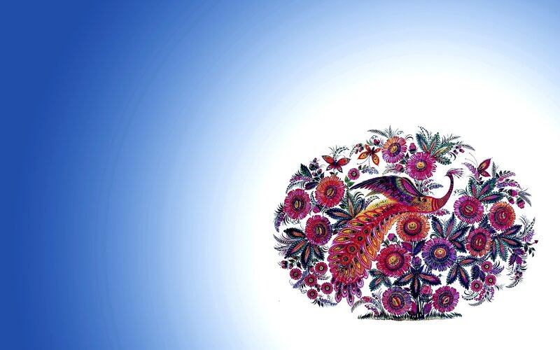 colorful floral peacock design