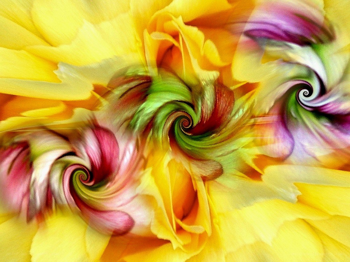 Colorful floral spiral patterns