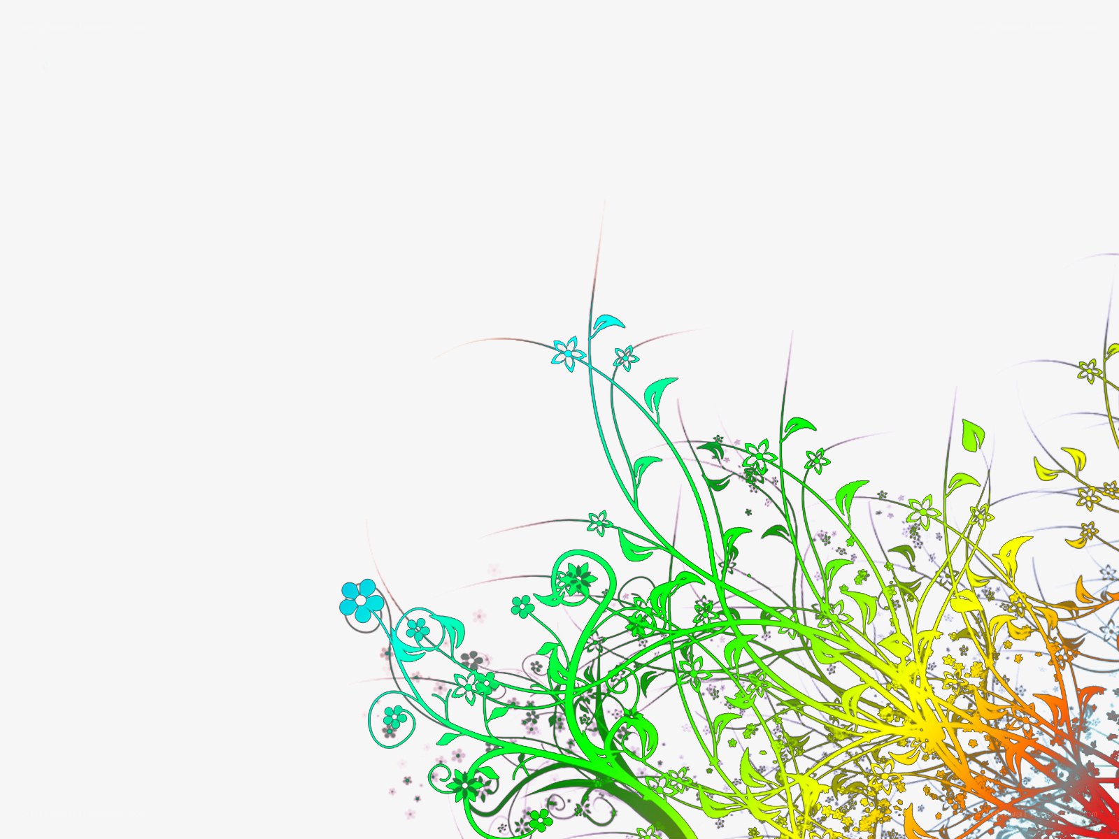 colorful floral vine design